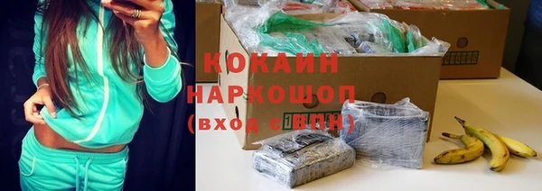 спайс Ладушкин