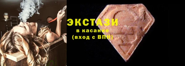 индика Кулебаки