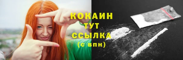 индика Кулебаки