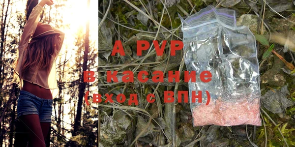 индика Кулебаки