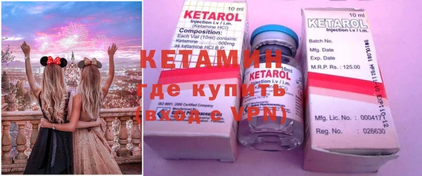 индика Кулебаки