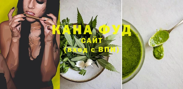 индика Кулебаки