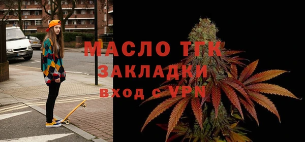 индика Кулебаки