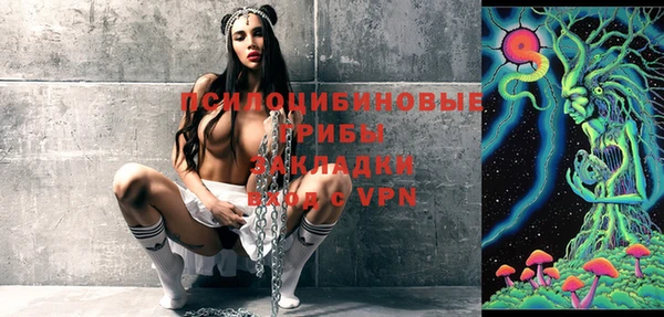 2c-b Лабытнанги