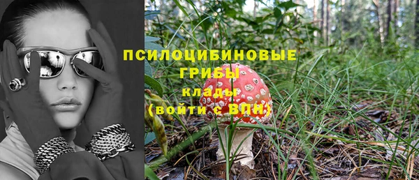 не бодяженный Куйбышев