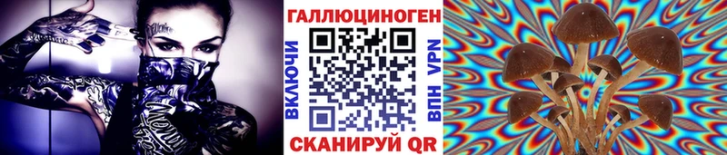 Псилоцибиновые грибы Magic Shrooms  ссылка на мегу   Шилка 